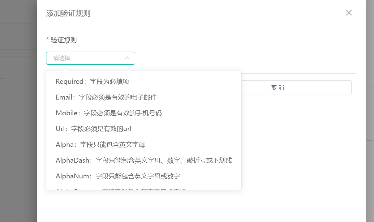 验证规则类型